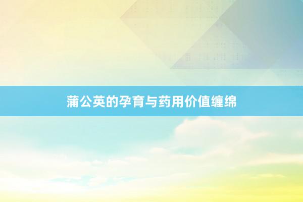 蒲公英的孕育与药用价值缠绵
