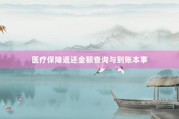 医疗保障返还金额查询与到账本事