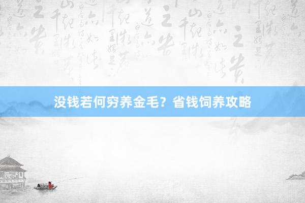 没钱若何穷养金毛？省钱饲养攻略