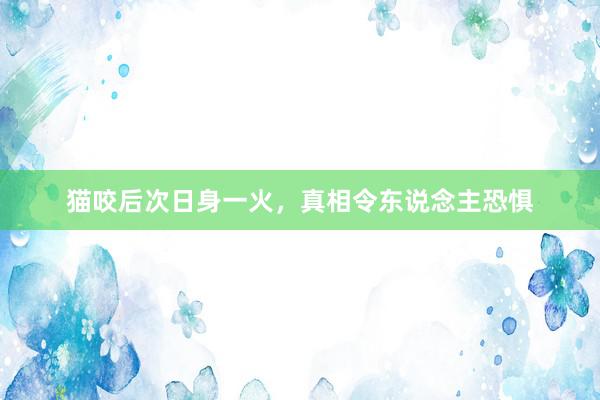 猫咬后次日身一火，真相令东说念主恐惧