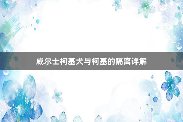 威尔士柯基犬与柯基的隔离详解